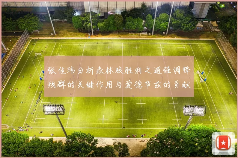 张佳玮分析森林狼胜利之道强调锋线群的关键作用与爱德华兹的贡献